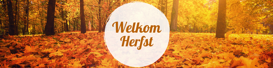 Ontdek onze 5 herfstfavorieten!